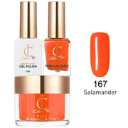 Cllam Matching 3in1 - CL167 SALAMANDER - TTT Nails Supply