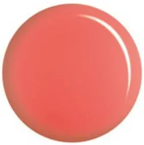 DC Duo Matching Color - #178 Hard Tile - TTT Nails Supply