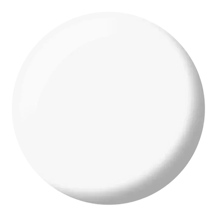 DND Duo Matching Color - #448 Snow Flake - TTT Nails Supply