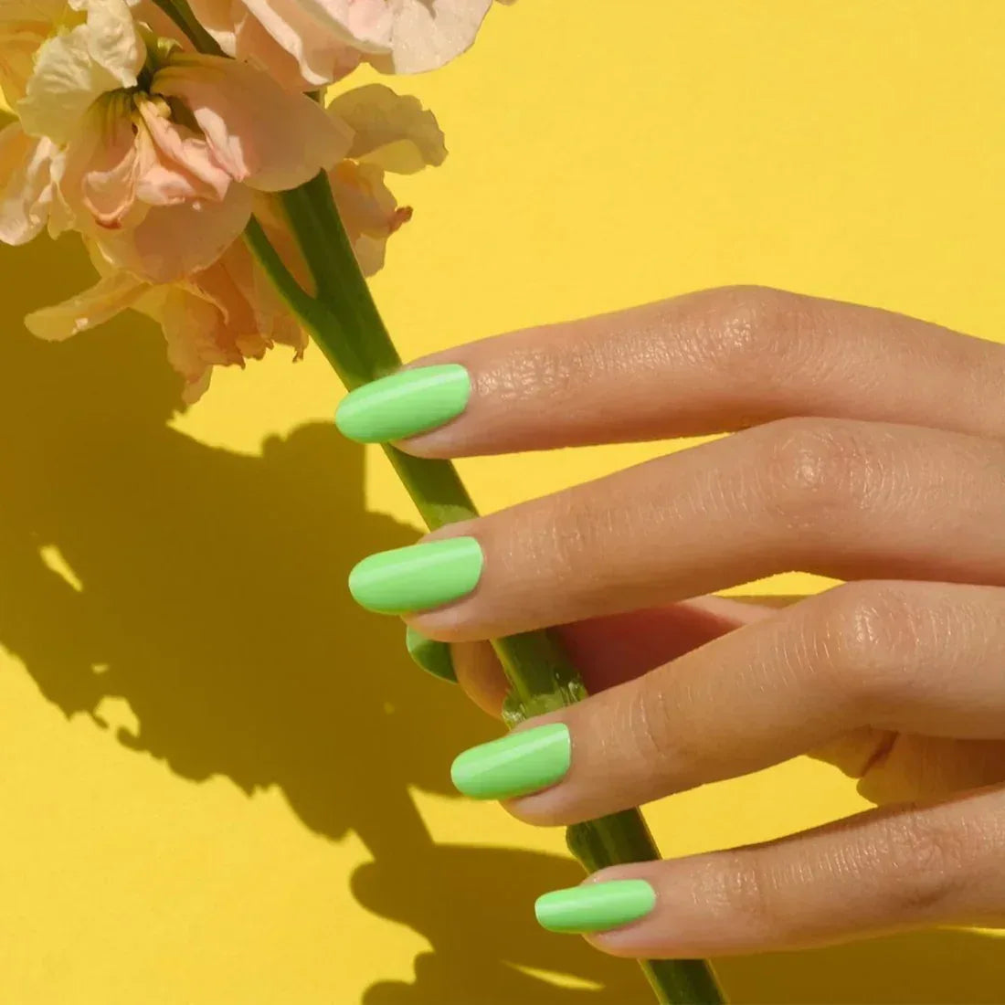 DND Duo Matching Color - #568 Green Forest, AK - TTT Nails Supply