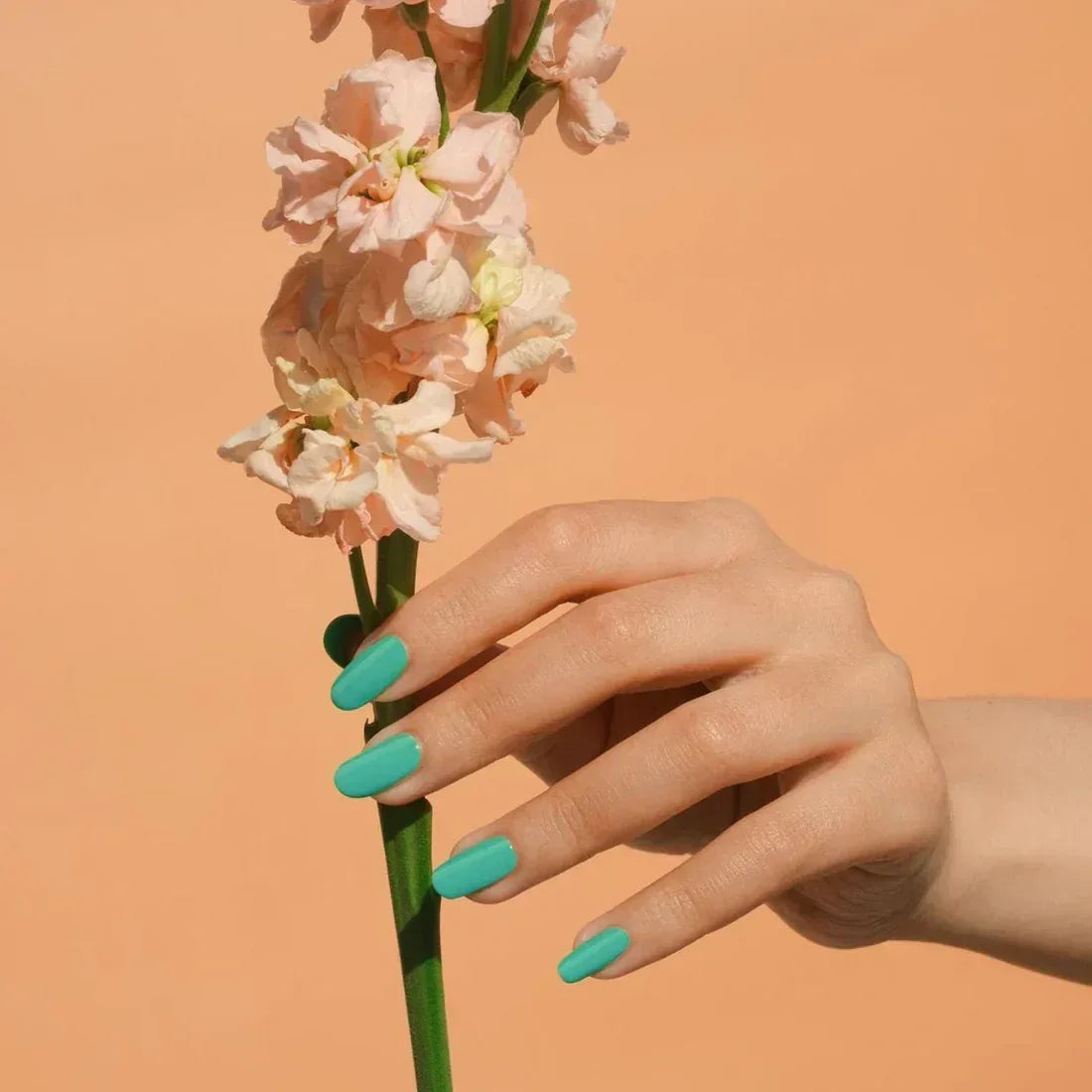 DND Duo Matching Color - #569 Green Spring - TTT Nails Supply