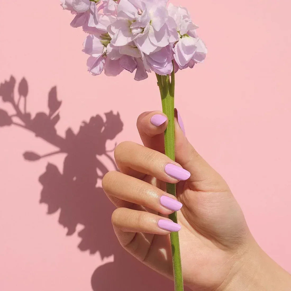 DND Duo Matching Color - #727 Pixie - TTT Nails Supply