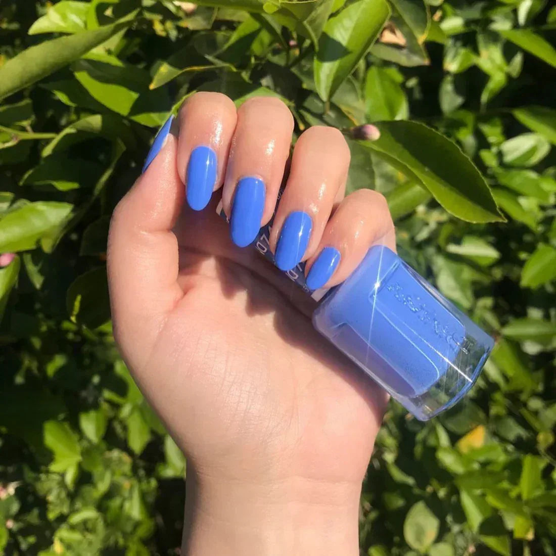 DND Duo Matching Color - #740 Dazzle - TTT Nails Supply