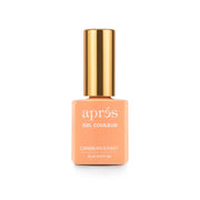 Apres gel color - #222 Caribbean Sunset | Professional Gel Color 0.5oz (15ml)