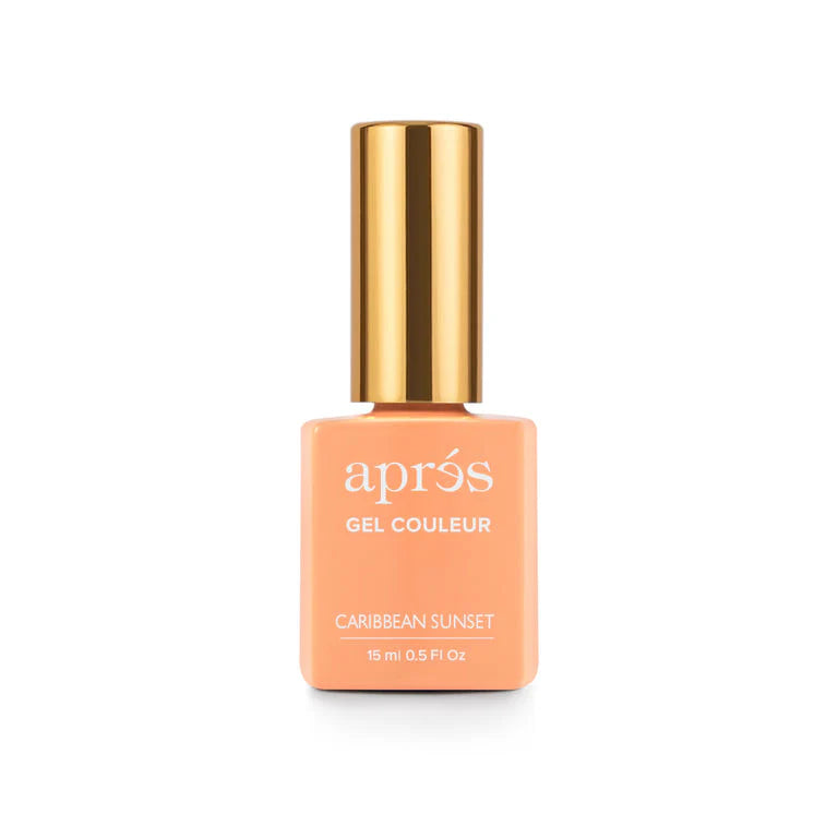 Apres gel color - #222 Caribbean Sunset | Professional Gel Color 0.5oz (15ml)