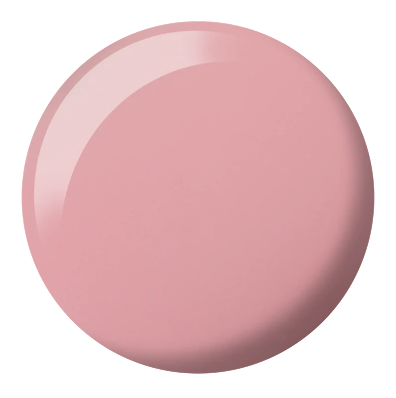 DC Duo Matching Color - #2469 C'est la Vie 4