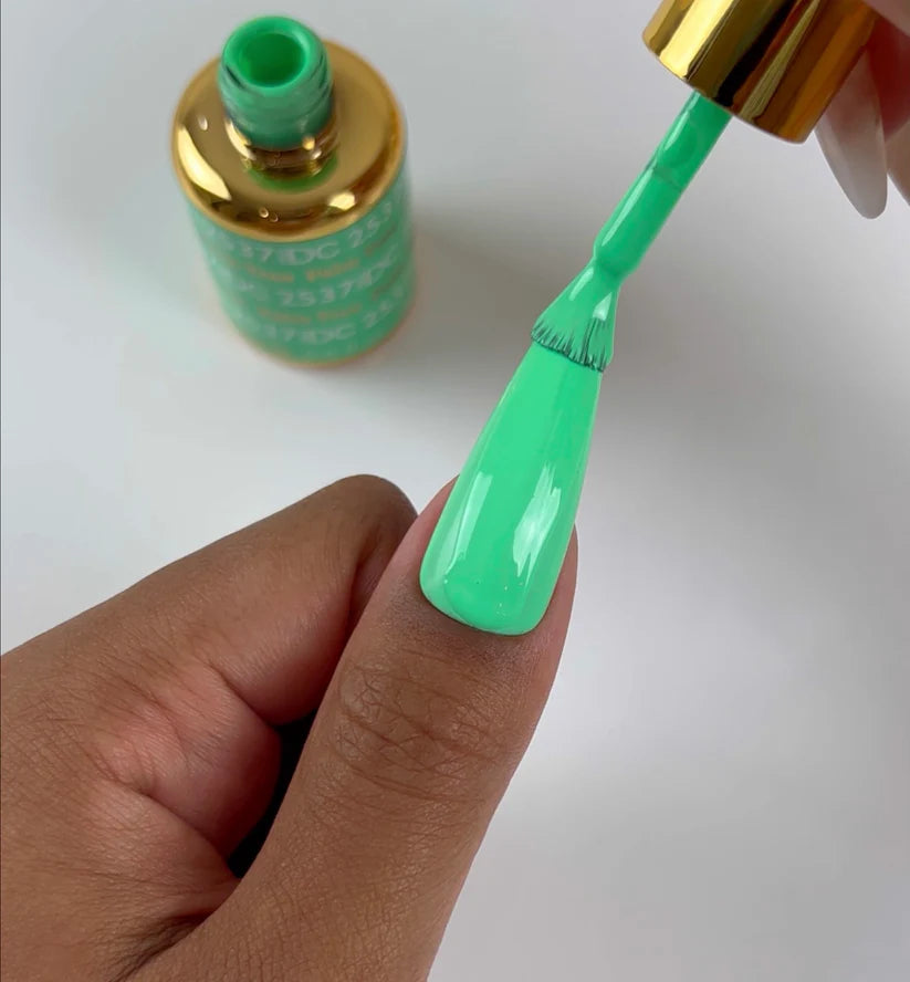 DC Duo Matching Color - #2537 Palm Tree 7