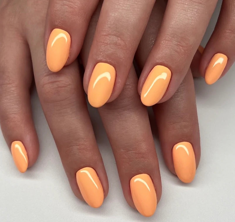 DC Duo Matching Color - #2538 Mandarin Glow 2