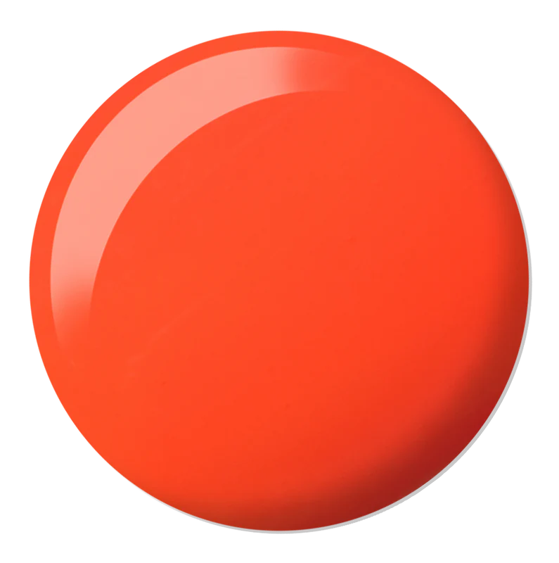 DC Duo Matching Color - #2542 Untamed 6