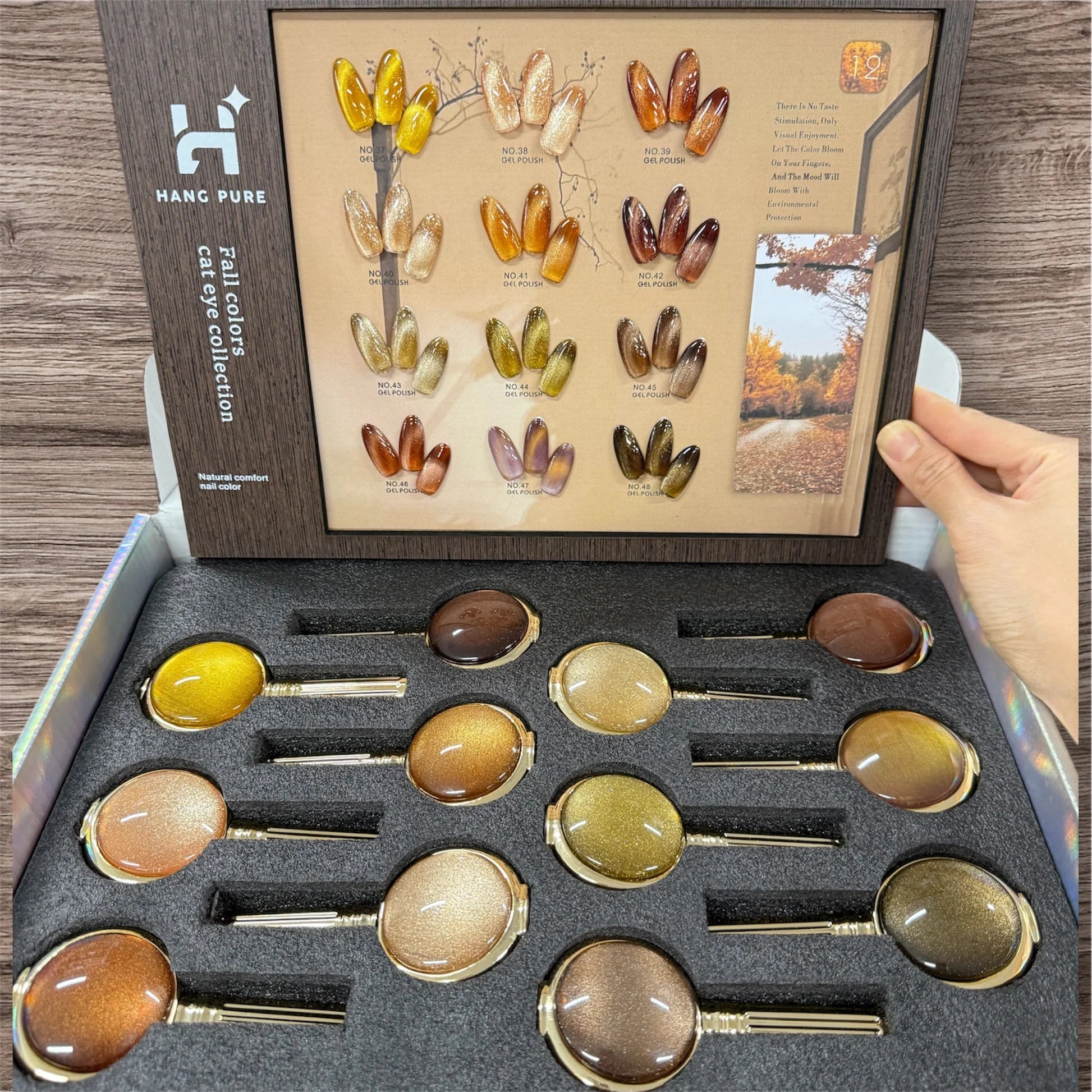 HANG Cat Eye Fall Collection – 12 Colors | Seasonal Magnetic Gel Set ($7.45/ea)
